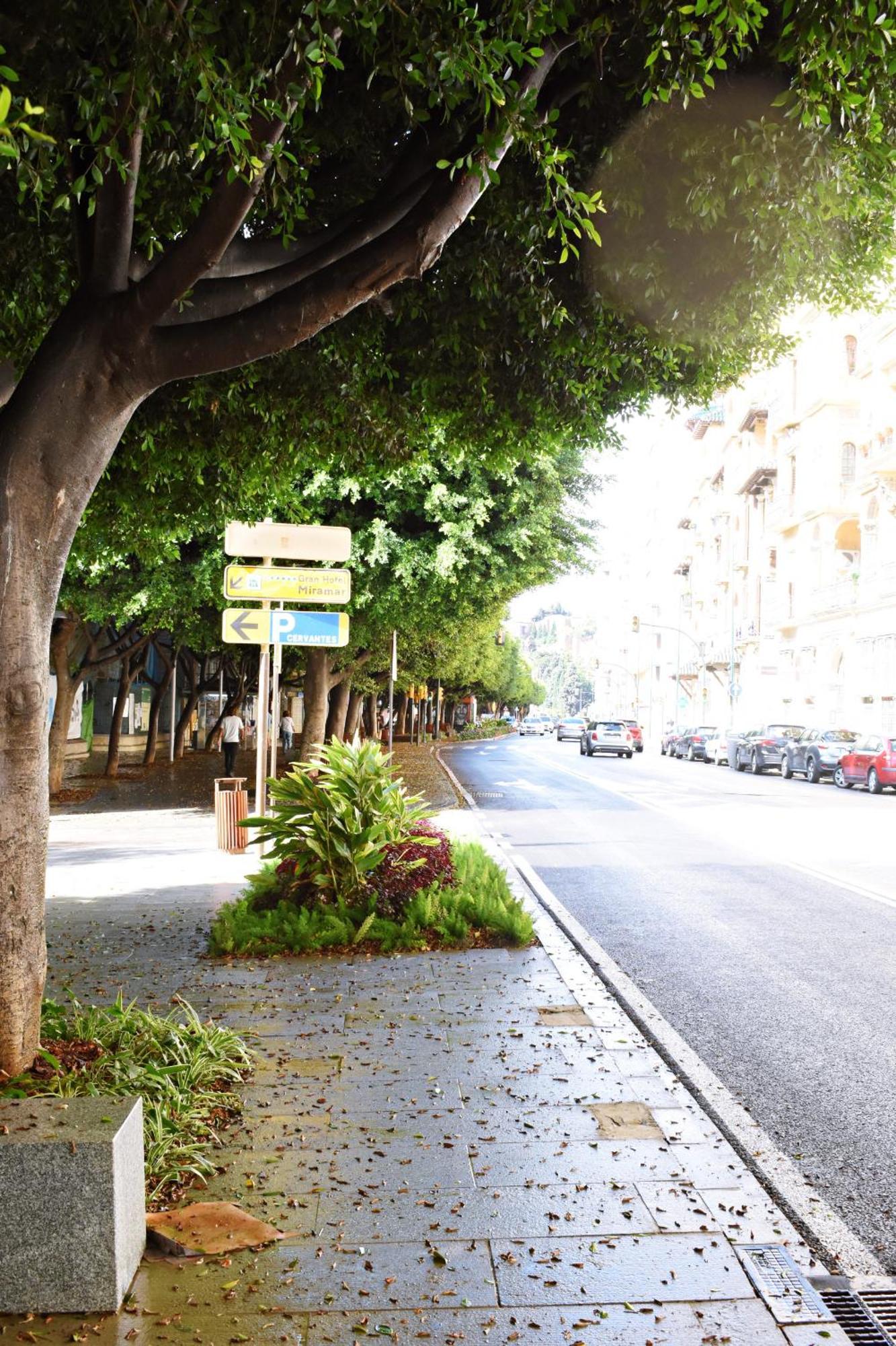 Malagueta's Cozy With Parking And Swimming Pool Apartamento Málaga